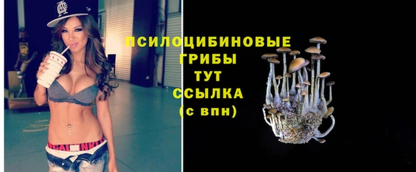 spice Абаза