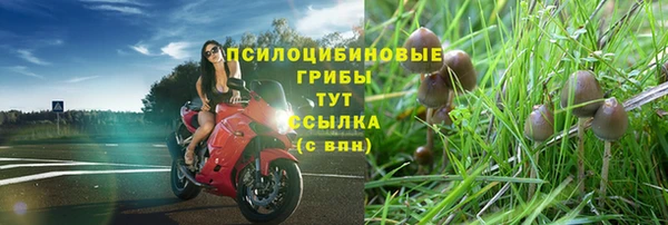 экстази Абдулино