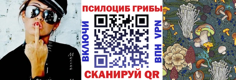Псилоцибиновые грибы MAGIC MUSHROOMS  купить закладку  Рассказово 
